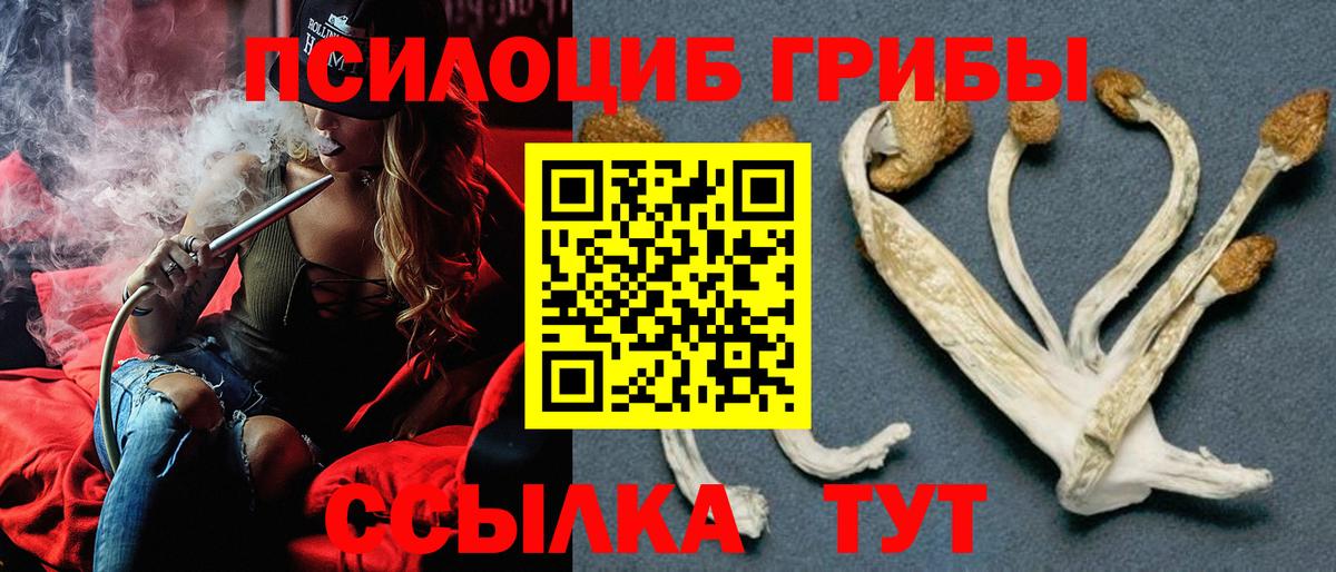 Псилоцибиновые грибы Cubensis Магнитогорск